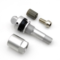 Tige de valve TPMS en aluminium pour Tesla Model 3/Model Y/Model S/X Filetage M10*1, Ajustement OEM, Étanche KA-523/6-284