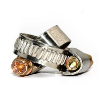 Collier de serrage en T miniature en acier inoxydable poli, type billette, métrique, pour l'industrie générale, les soins de santé, l'alimentation et les boissons