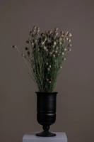 Vente en gros gousses de nigelle séchées naturelles pour décoration de vase de fête mariage