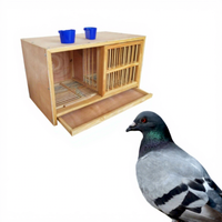 Nid de pigeon pliable en bois écologique, cage de transport, cage d'élevage pour pigeons