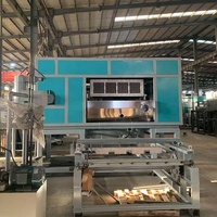 Machine automatique de fabrication de barquettes et boîtes à œufs jetables pour le transport et l'emballage des œufs de caille et de poulet, idéale pour les petites entreprises à domicile.