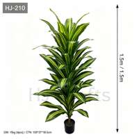 Plante artificielle Dracaena 150 cm (5 pieds) – Faux palmier cornu avec feuilles jaunes variegées – Décoration intérieure écologique en plastique pour sol et maison