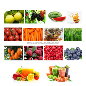 เครื่องคั้นน้ำแครอทแบบไฮดรอลิก เครื่องคั้นผักแบบไฮดรอลิก เครื่องคั้นน้ำส้ม - Product Image 2