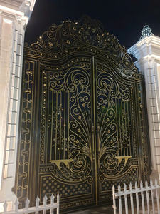 Puerta Decorativa de Hierro Forjado con Servicio Técnico y Diseño Francés en Múltiples Colores - Product Image 5