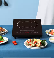 Plaques à induction en gros 2200W, cuisinière électrique multifonctionnelle avec base antidérapante, nouveau design, plaque à induction infrarouge