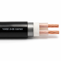 Câble d'alimentation blindé YJV22 2 conducteurs 35mm² 0,6/1kV, câble de distribution souterrain basse tension 2*35