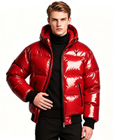Veste d'hiver matelassée brillante à capuche zippée pour homme, coupe classique, personnalisable ODM, fournie directement par l'usine