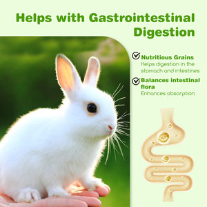 Nobleza 700g อาหารกระต่ายเพื่อสุขภาพและอร่อยอาหารพรีเมี่ยมสำหรับผู้ใหญ่กระต่ายที่ดีที่สุดอาหารสัตว์เลี้ยงสำหรับกระต่ายที่สวมใส่ได้ - Product Image 5
