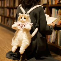 Dropshipping Cadeaux Simulation Ragdoll Chat Poupée Peluche Petite Poupée Poupée Fille Chat Simulé Sac à dos