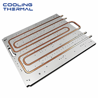 Plaque de refroidissement liquide sur mesure usinée CNC, de précision, pour refroidissement par eau
