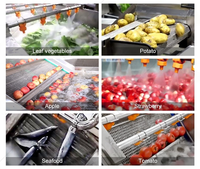 Volledig automatische sorteer-, snij-, was-, droog- en verwerkingslijn voor groenten en fruit, inclusief machines voor het wassen en verwerken van groenten en fruit.