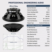 Haut-parleur passif professionnel de 12 pouces, 300 W RMS, bobine vocale de 75 mm, coque métallique de 190 mm, 8 ohms, système de divertissement de scène KTV haut de gamme