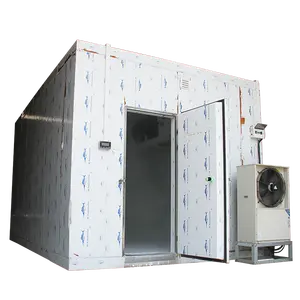 80mm sandwich panel high temperature mini cold storage room for fruit