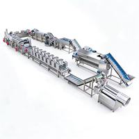 HT Custom 100-3000Kg/uur diepvriesfrieten verwerkingslijn met geïntegreerde automatische apparatuur voor aardappel schillen & snijden