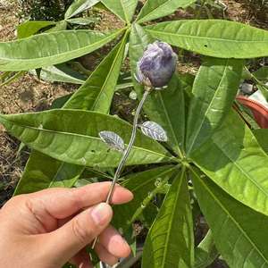 ดอกกุหลาบคริสตัลแกะสลักขนาด 3 ซม. สีเงิน ประดับคริสตัลไอน้ำ หินคริสตัลธรรมชาติบำบัด แกะสลักคริสตัลรูปดอกกุหลาบวาเลนไทน์ - Product Image 3