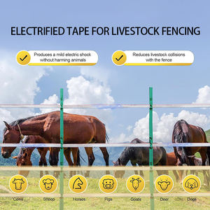 Pita kawat pagar listrik untuk pagar pagar pita <span class=keywords><strong>poli</strong></span> konduktif peternakan pagar kuda dengan visibilitas tinggi - Product Image 5