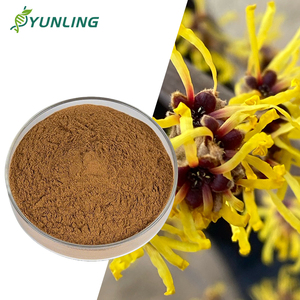 Poudre d'extrait d'hamamélis (Hamamelis Virginiana) antioxydante cosmétique 10:1 de qualité cosmétique pour les soins de la peau, matière première CAN - Meilleures ventes - Product Image 1
