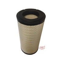 Filtre à air pour Excavator Engine Truck Truck Models 11110175 11110176 PU2447 AF25748 + AF25749 04710326 04710328 High Quality