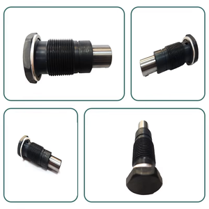 Tensor de Cadena de Distribución para Volkswagen Golf, Touran, Sagitar, Passat, <span class=keywords><strong>AUDI</strong></span> Q5, A4, <span class=keywords><strong>Q3</strong></span>, A3 06H109467AS 06H109467AF - Product Image 4