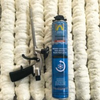 Mousse polyuréthane monocomposant en aérosol 750 ml, colle mousse haute expansion pour la construction, l'étanchéité, les canalisations, la menuiserie et l'isolation