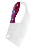 Couteau à découper la viande en acier inoxydable 4Cr13, couteau de cuisine robuste, couteau à fruits avec manche en bois, 2 pièces en métal