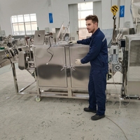 Hotsale Walley Commerciële SUS304 RVS Motor Stoom/Elektrische Hetelucht Droogmachine voor Fruit- en Groenteverwerking