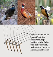 Filet anti-oiseaux, fournitures de jardinage, cage à oiseaux, piège à pigeons