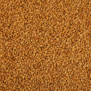 Poudre de fenugrec biologique de qualité supérieure, exportée en vrac, épice pure d'Inde, poudre de fenugrec biologique indienne - Product Image 1