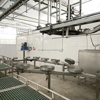 Maisheng Projet clé en main Abattoir porcin et usine de transformation de la viande Équipement d'abattoir Ligne d'abattage porcine