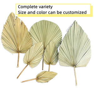 Lá Cọ Khô Tự Nhiên Chất Lượng Cao & Lá Cọ Để Trang Trí Đám Cưới - Product Image 2