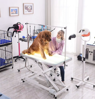 Table de toilettage électrique pour animaux de compagnie MT Medical, adaptée aux chiens et aux chats, avec un plateau en verre trempé givré, idéale pour les cliniques vétérinaires.