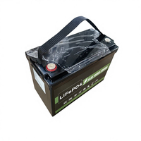 Batterie solaire 24V 48V, stockage d'énergie solaire, pack de batteries Lifepo4 12V 200AH, batteries lithium-ion