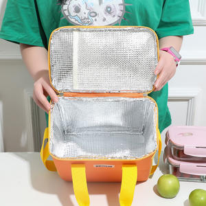 Vente en gros Grand sac à lunch carré isolé Fermeture à glissière écologique Portable Outdoor Best-seller Nouveau nouveau carré isolé Ice - Product Image 1