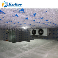 Machine de fabrication de glace DK20, conditionneuse de glace directe, fabriquée en chine, pour l'industrie de la pêche, conservation de fruits de mer