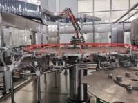 Équipement automatisé efficace de machine à eau à grande vitesse de 5 litres pour 2000 bouteilles par heure pour le shampooing chimique de gel de boisson