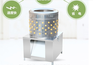 Máquina Desplumadora de Aves y Gatos de Diseño Innovador y Duradero, Fabricada en China - Product Image 4