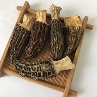 9017 Yang Du Jun Champignon Morel Séché Naturel Pas Cher Prix Sec En Gros Champignon Morel