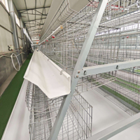 Nouvelles cages à poules de type A, capacité 160 poules pondeuses, 3-4 niveaux, en acier galvanisé, installation facile