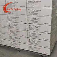 Plaques de plafond en fibres minérales acoustiques 595x595mm/603x603mm/603x1212mm, résistantes à l'humidité, insonorisantes, ignifuges, pour usage hôtelier