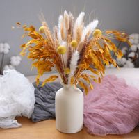 Buket Bunga Kering Alami Rumput Pampas Bunny Tails Pampas untuk Dekorasi Pernikahan dan Pajangan Rumah Grosir
