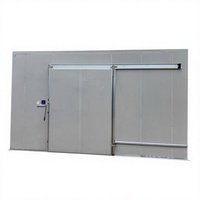 Loop in koelcelopslag, koelinstallatie 5-10 ton snelvriezer met Copeland compressor voor vlees, vis, kip, groenten, fruit