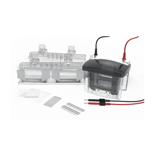 Thiết bị phòng thí nghiệm máy dọc ngang bộ máy agarose gel điện hệ thống xe tăng cho phòng thí nghiệm - Product Image 3