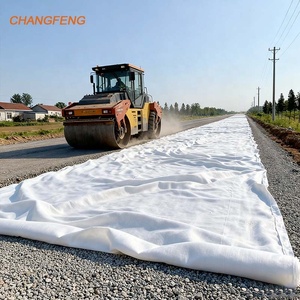 Tissu géotextile non tissé en PP polyester plastique industriel, <span class=keywords><strong>prix</strong></span> géotextile 300g <span class=keywords><strong>200g</strong></span> m² pour allées en Indonésie - Product Image 6