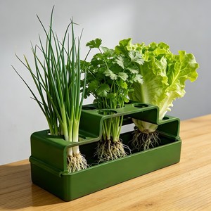 Hydroponic Scallion Grower 15.5x6x7.5cm Soilless Desktop Planting Box For Home Use - Product Image 1