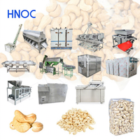 Chaîne complète de machines de torréfaction et de décorticage de noix de cajou HNOC pour usine de traitement de noix de cajou