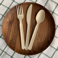 Ensemble de couverts jetables biodégradables CPLA 100% compostables, résistants à l'eau et à l'huile, pour restaurant/bar/fête, cuillère, fourchette