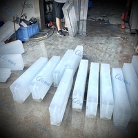 Magasin d'alimentation professionnel 300Kg 500Kg 1000Kg grand bloc de glace faisant la machine 100 Kg bloc