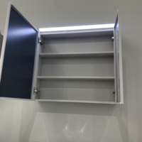 Table de maquillage éclairée WJL avec miroir - Coiffeuse murale moderne avec lavabo en céramique, entièrement en aluminium, 70 cm