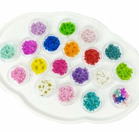 2000 pièces/sac faux Spiraea cinq étoiles fleur Offre Spéciale Nail Art pressé sec fleur Nature fleurs séchées