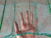 Cage de piège de pêche Dragon Bubu avec 23*38CM 31 cadres Cage de pêche longue et pliable
